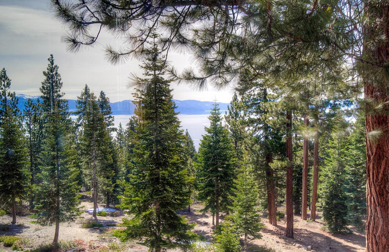 Rental view at Lake Tahoe Accommodations.