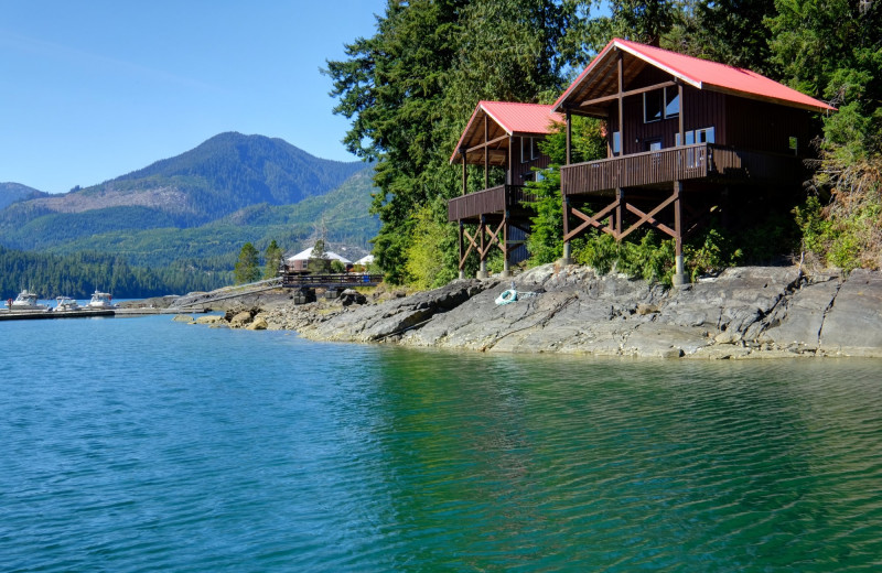 logging roads on nootka island