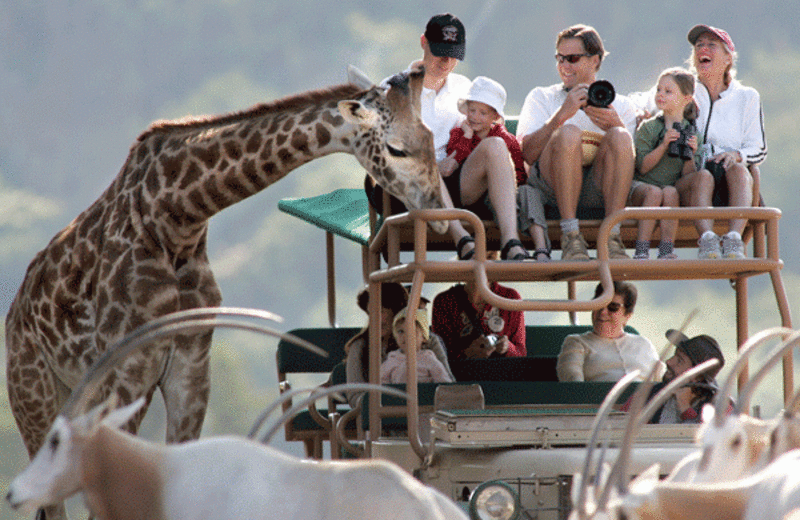 santa rosa wildlife safari