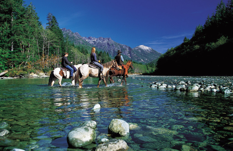 Riding horses at Clayoquot Wilderness Resort. 