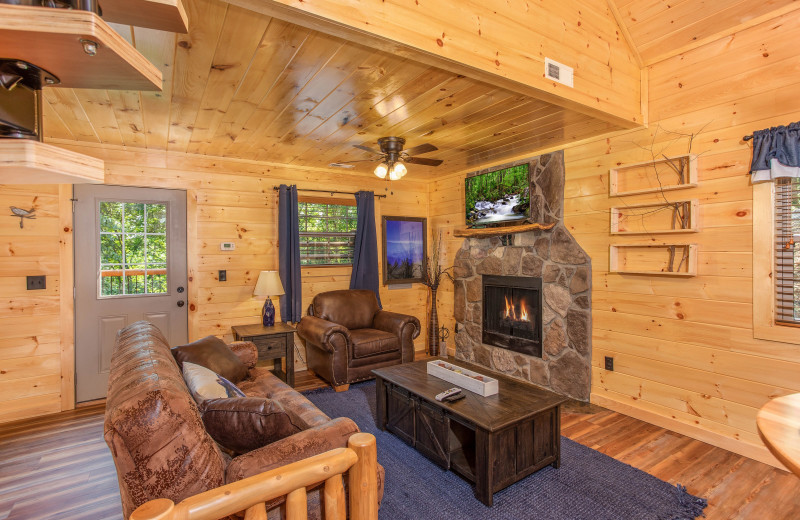 Living room at American Patriot Getaways - Out on A Limb.