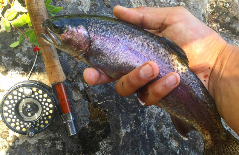 Fishing at Mount Bachelor Village Resort.