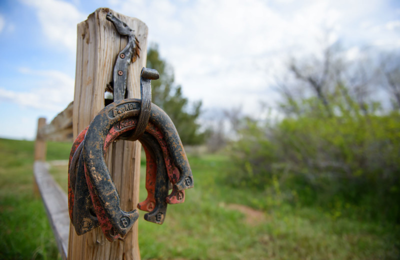 Horseshoes at Clear Creek Family Ranch.