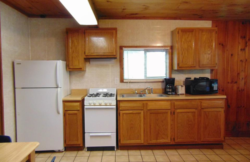 Cabin kitchen at The Depe Dene Resort.