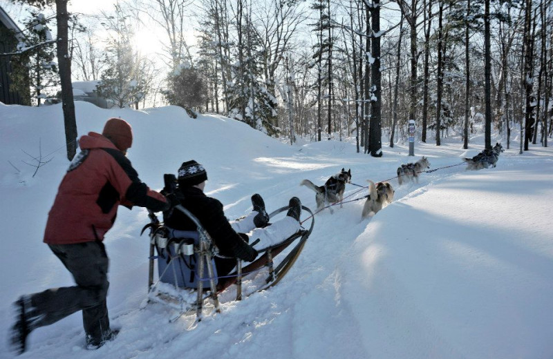 Dog sledding at JW Marriott The Rosseau Muskoka Resort & Spa.