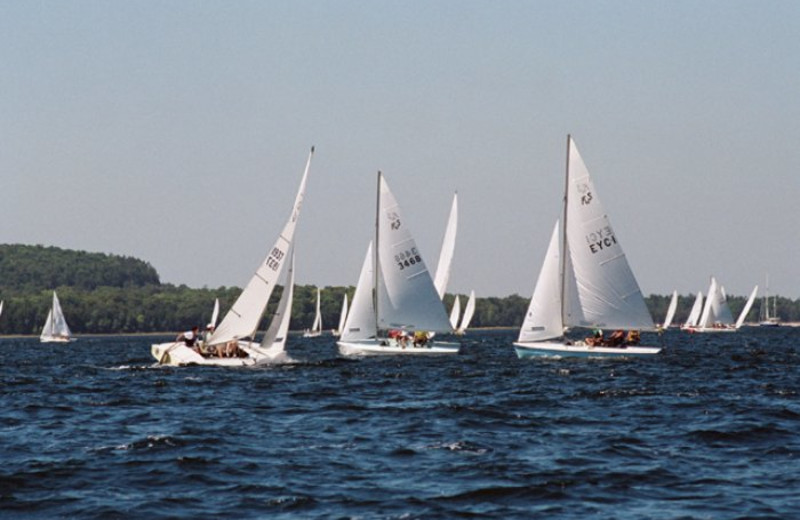 Sailboats on the lake at Bay Breeze Resort.