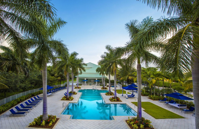 Outdoor pool at Provident Doral at The Blue Miami.