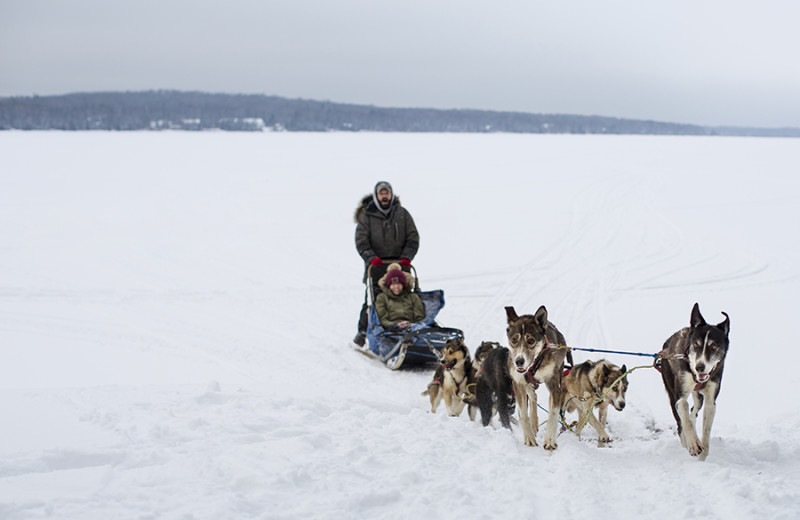 snowmobile at Skyport Lodge