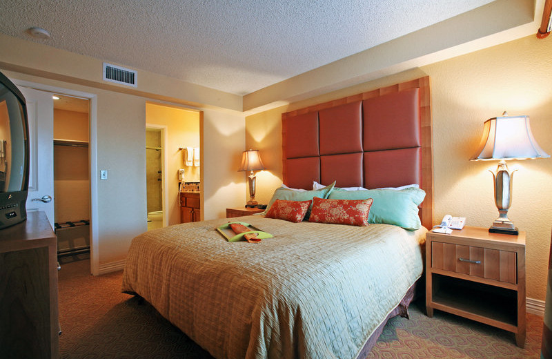 Guest room at Desert Rose Resort.