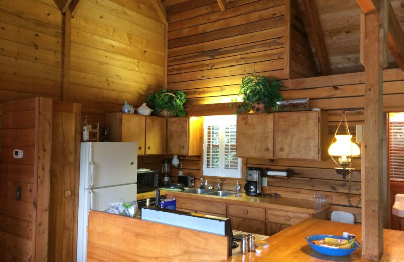Rental kitchen at Chambers Realty & Vacation Rentals.
