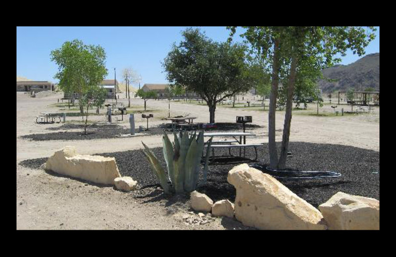 RV campground at Big Bend Resort & Adventures.