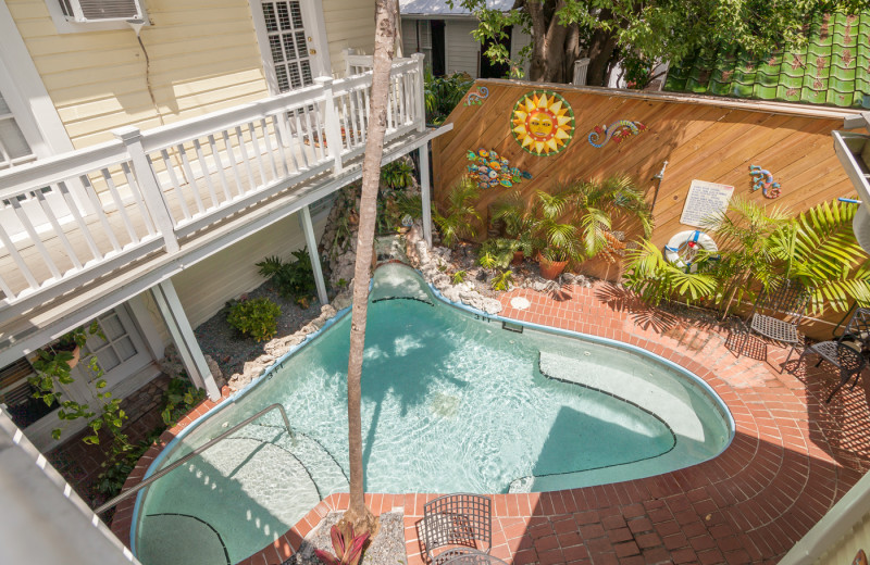 Outdoor pool at Garden House Bed & Breakfast.