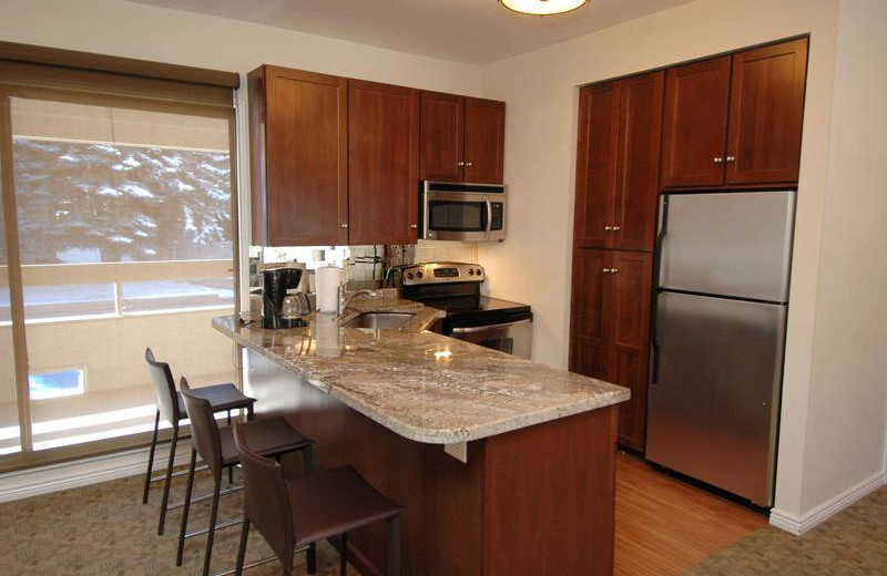 Rental kitchen at Frias Properties of Aspen.