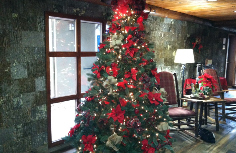 Christmas tree at Old Creek Lodge.