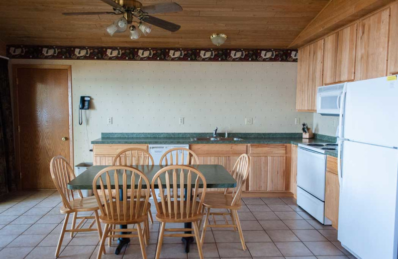 Cabin kitchen at Gull Lake Resort.