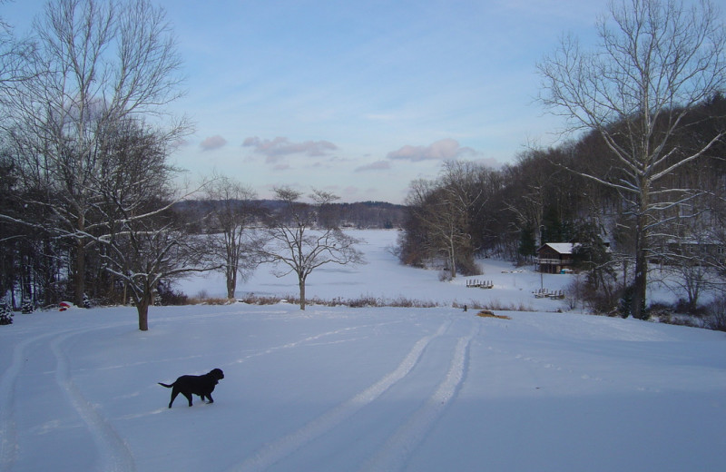 Winter at Chateau Lake Logan.
