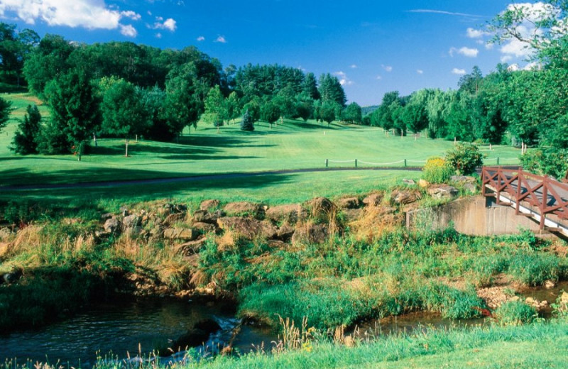 Golf course at Jefferson Landing.