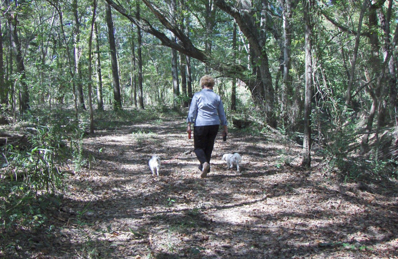 Trails at Mill Creek Ranch Resort.