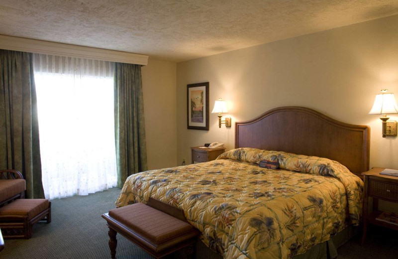 Guest room at Inn of Naples.