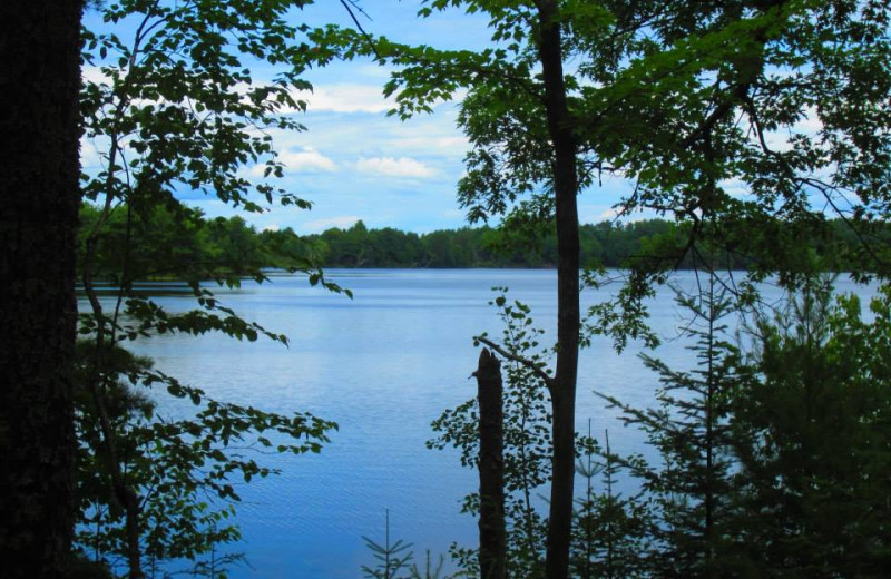 Lake view at Shady Nook Resort.