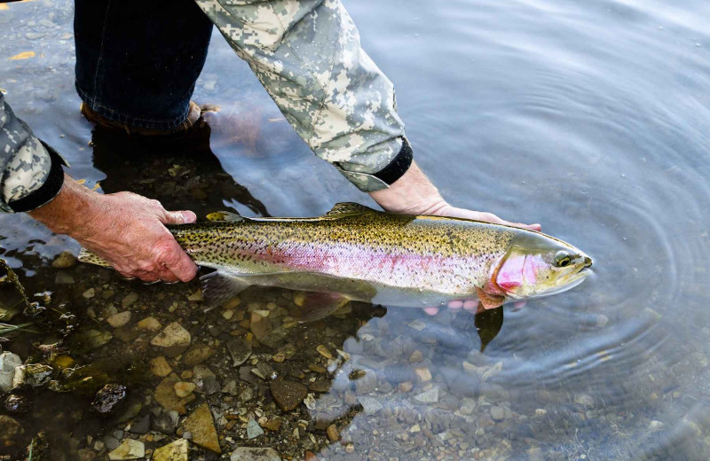 Fishing at Branded Rock Canyon.