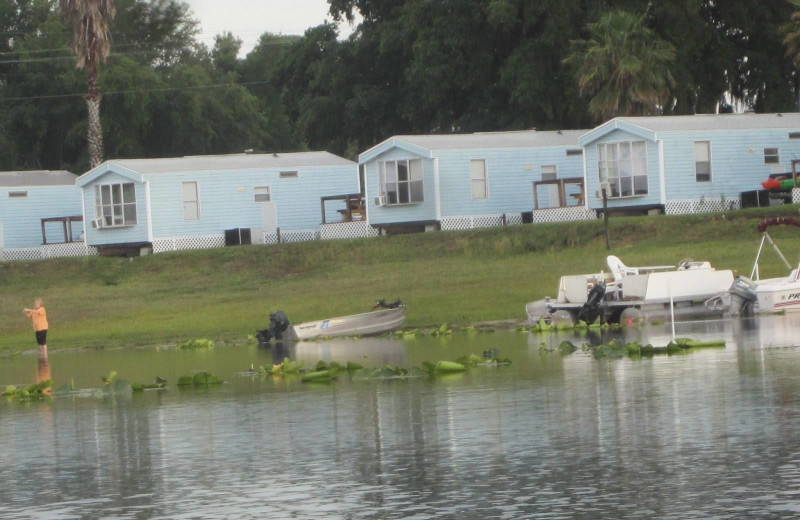 Cabins at Mill Dam Lake Resort.