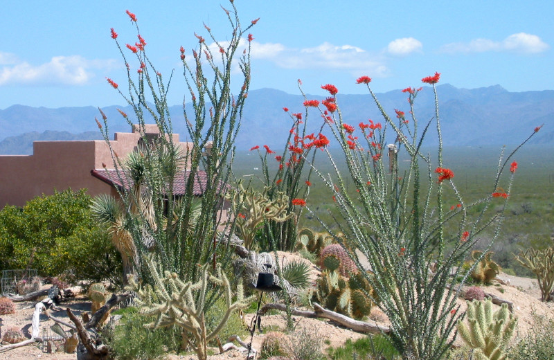 Exterior view of Stagecoach Trails Guest Ranch.