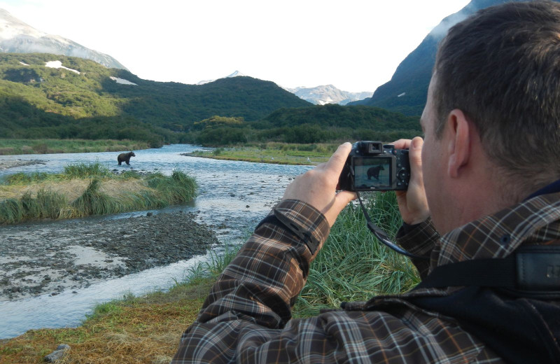 Bear watching at Zachar Bay Lodge.