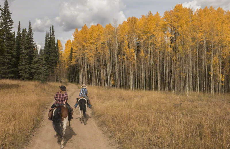 Horseback riding at Wild Skies Cabin Rentals.