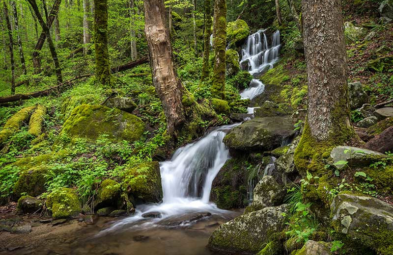 Waterfall near Smoky Mountain Cabins.