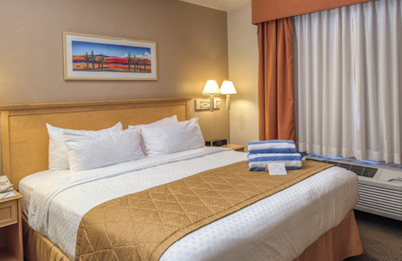 Guest room at Varsity Clubs of America - Tucson Chapter.