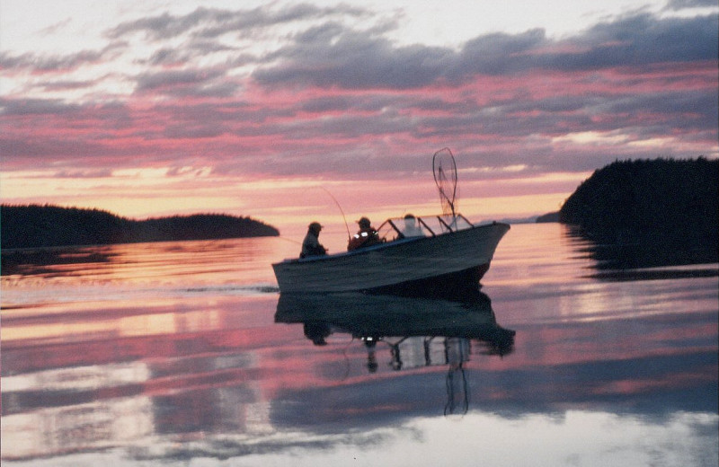 Fishing at Grizzly Bear Lodge & Safari.