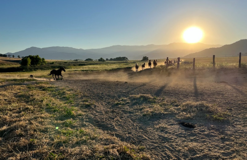 Horseback riding at Rankin Ranch.