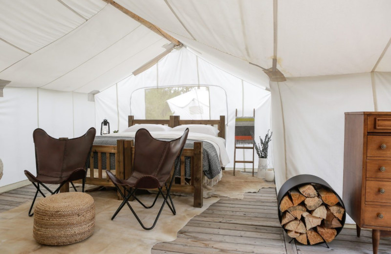 Guest room at Under Canvas Great Smoky Mountains.