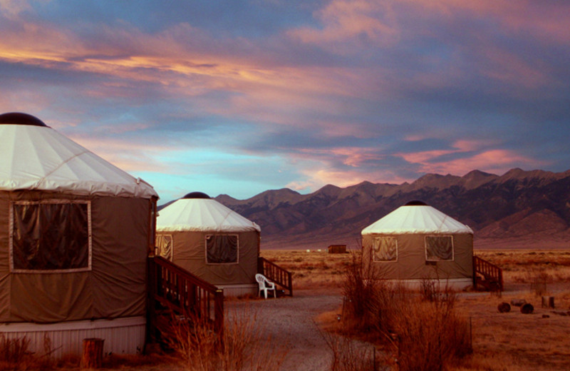 Yurts at Joyful Journey Hot Springs Spa.