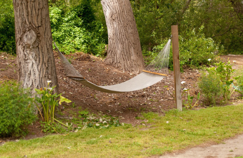 Hammock at Carmel River Inn.