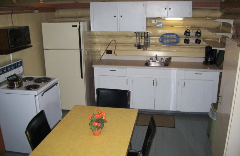 Cabin kitchen at Silv'ry Moon Lodge.