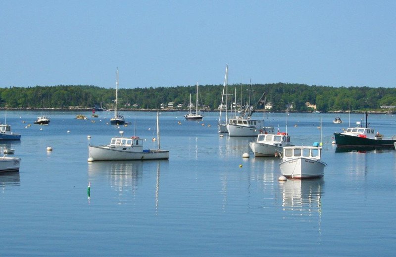 Marina at Harbour Towne Inn on the Waterfront.