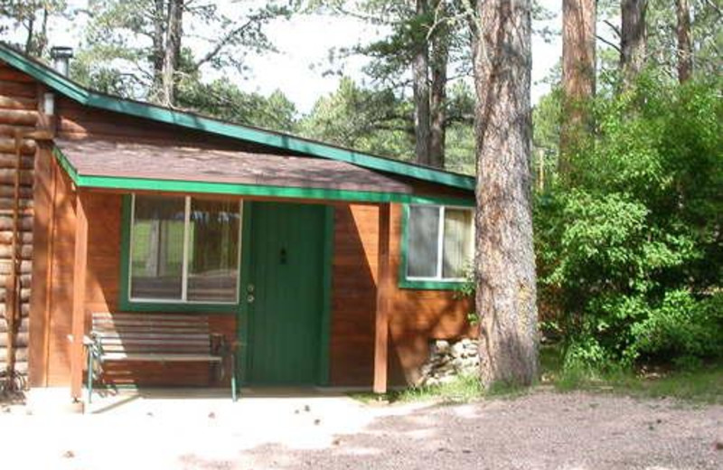 Rapid City Vacation Rentals Cabin Two Bedroom Family Cabin In