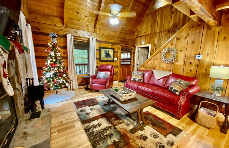Cabin living room at Little Valley Mountain Resort.