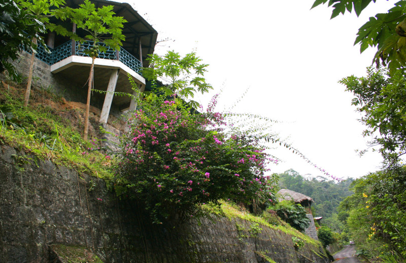 Exterior view of Hacienda Tinalandia Hotel and Nature Reserve.