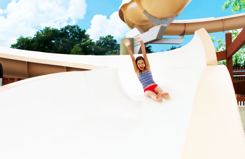 Outdoor water park at Rocking Horse Ranch Resort.