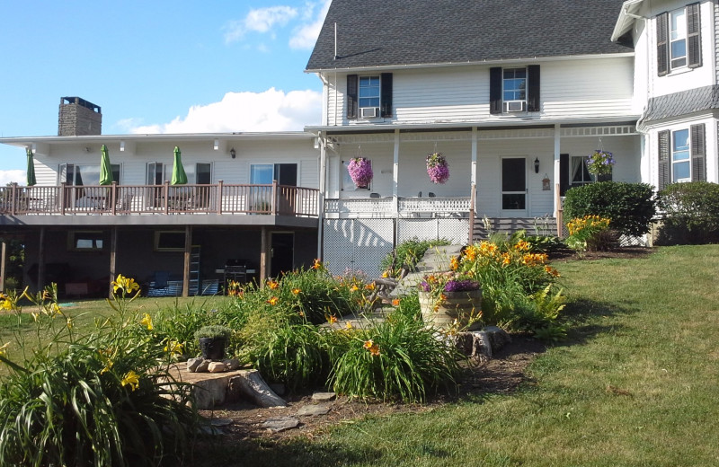 Exterior view of The Fox and The Grapes Bed and Breakfast.