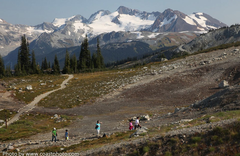 Hiking at Whistler Blackcomb Mountains.