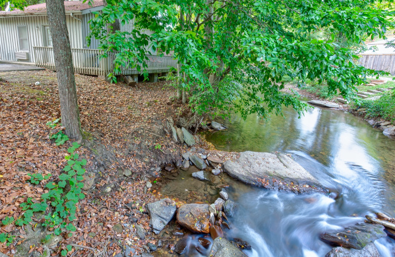 Exterior view of Caroline's Country Cabins.