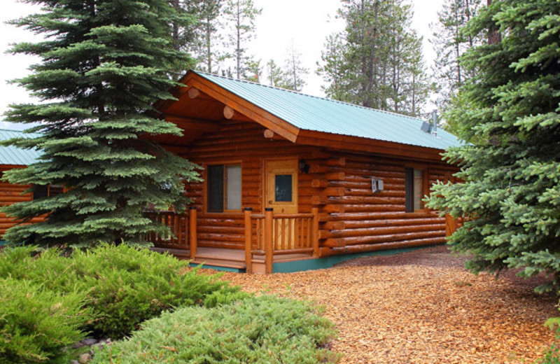 Cabin exterior at Silverwolf Log Chalet Resort.