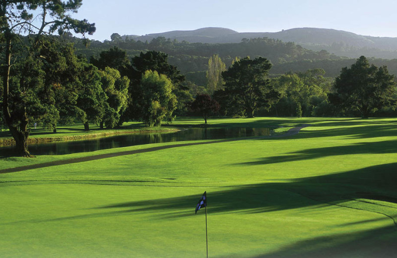 Golf course at Quail Lodge Resort.