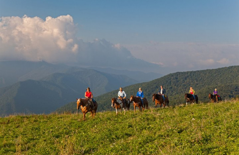 Horseback riding at Cataloochee Ranch.