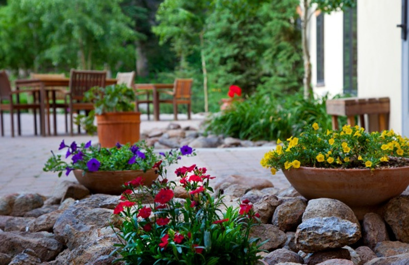 Courtyard garden at Edelweiss Lodge.