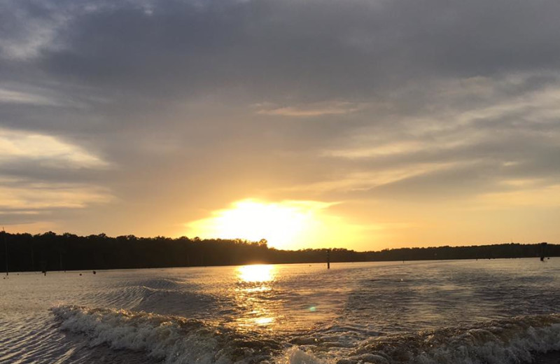 Lake at D'Arbonne Pointe.